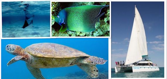 Sail Ningaloo - discover Ningaloo Reef in luxury